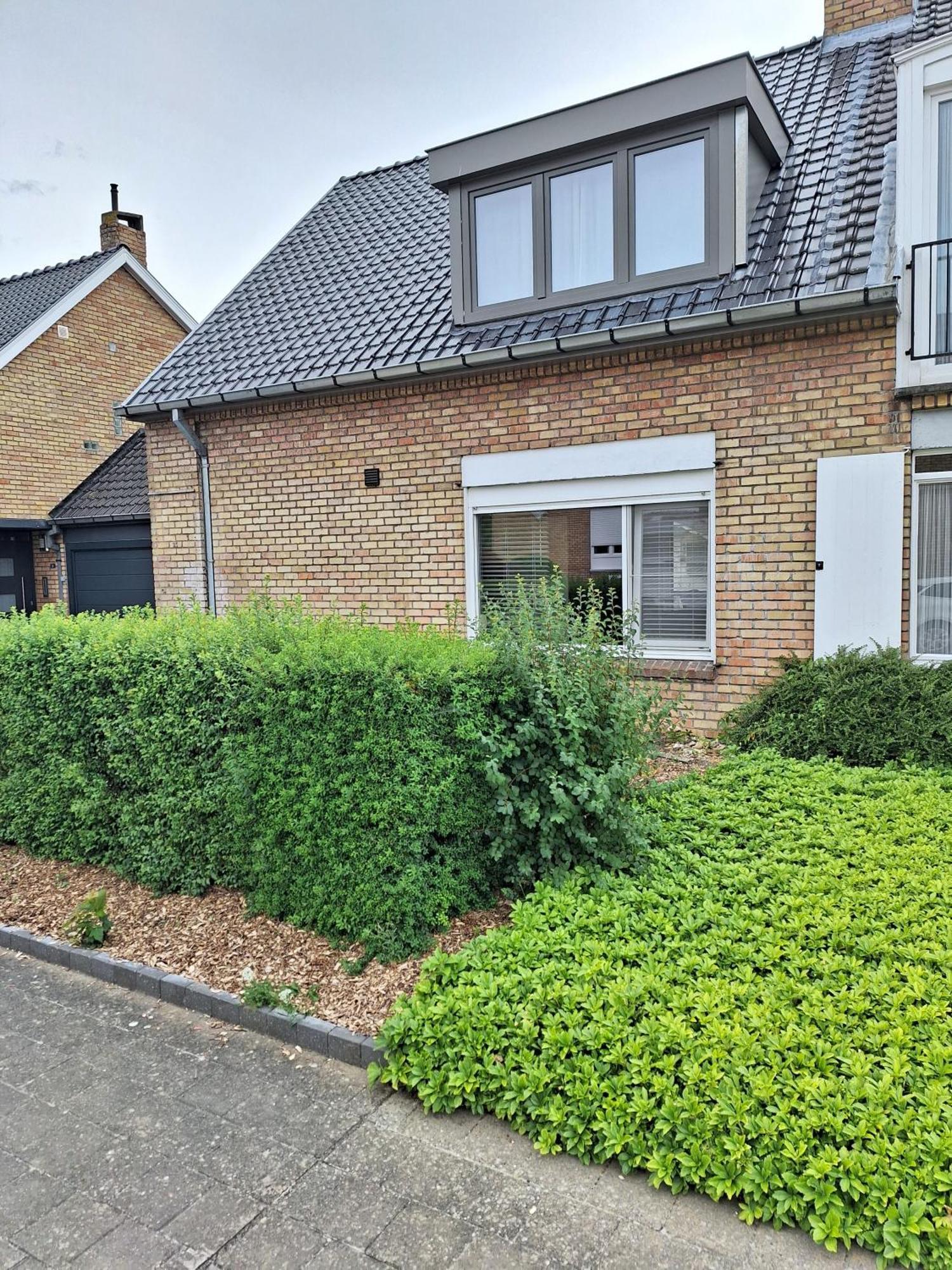 Our Lily House, Een Gezellig Familiehuis In Rustige Omgeving Villa Bruges Esterno foto